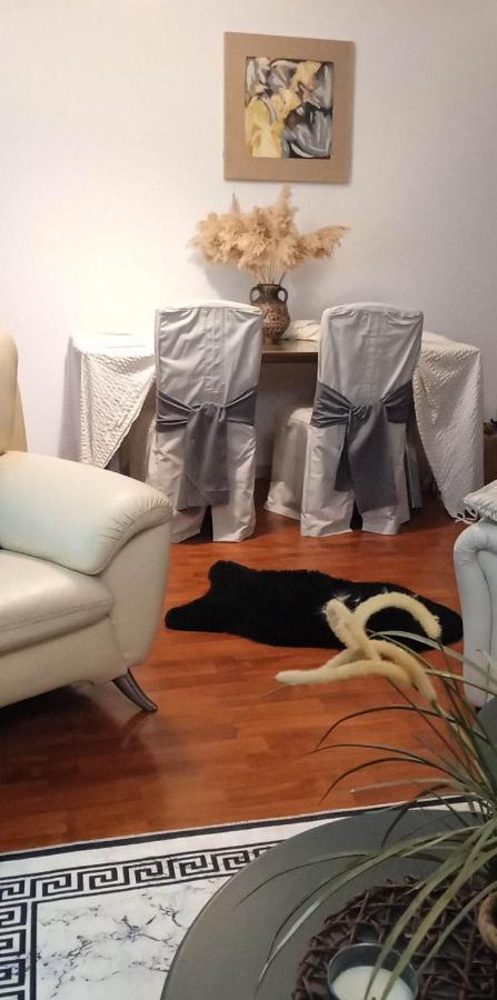 Lovely Cozy Apartment In The Entrance Of Nicosia Aglantzia المظهر الخارجي الصورة